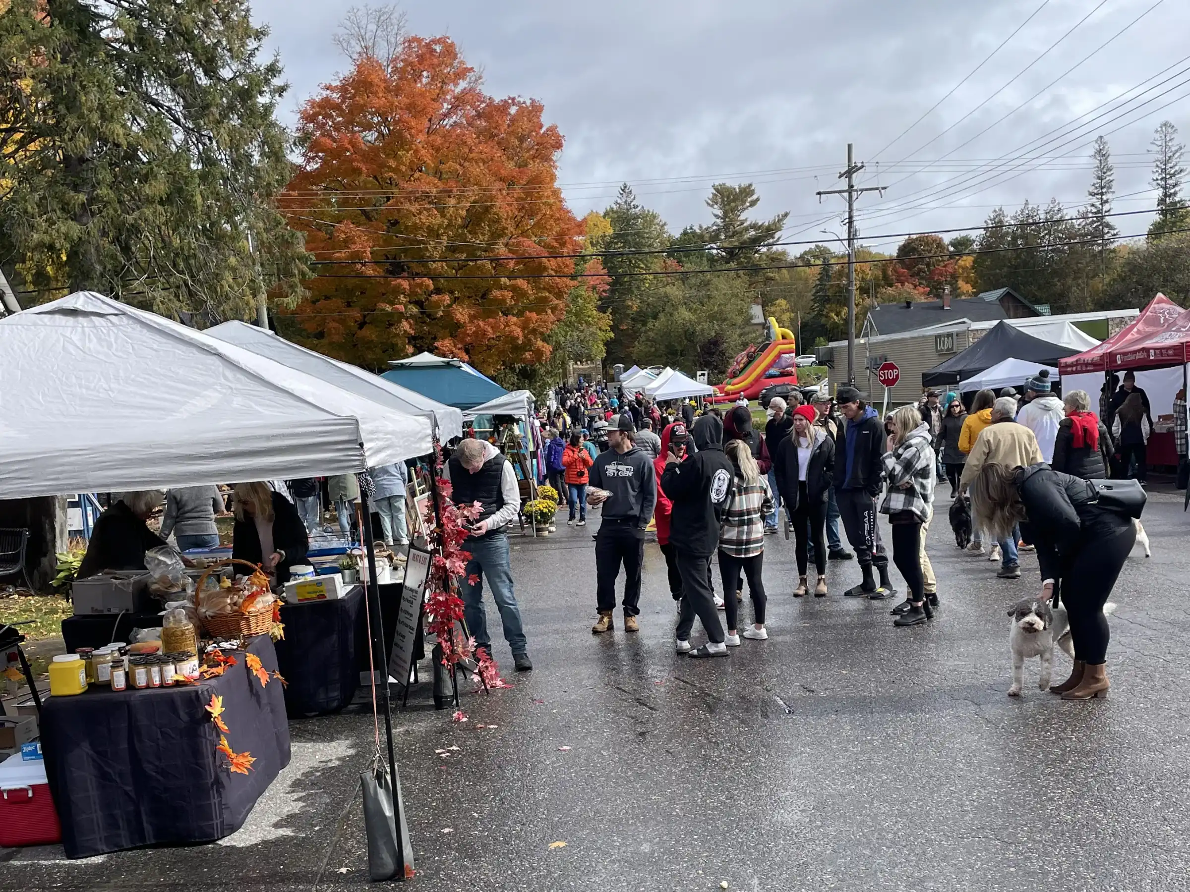 A row of vendors on the main street of Rosseau for the Pumpkin festival.